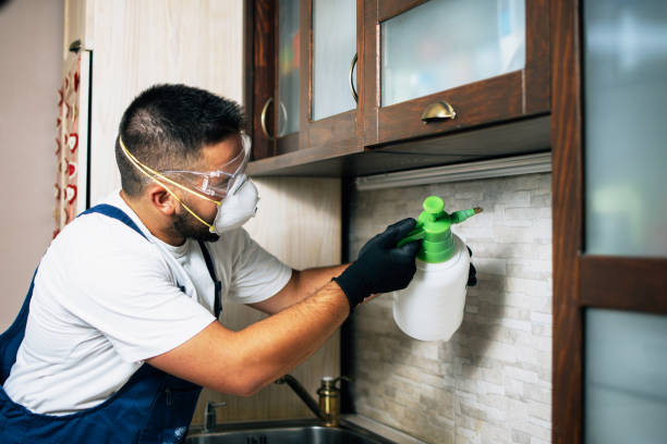 Best Commercial Pest Control Services  in Highlands, CA