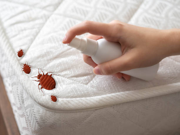 Best Best Pest Control Companies  in Highlands, CA